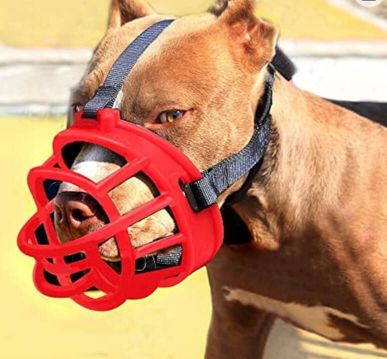 Silikon Köpek Ağızlığı - 3 Numara